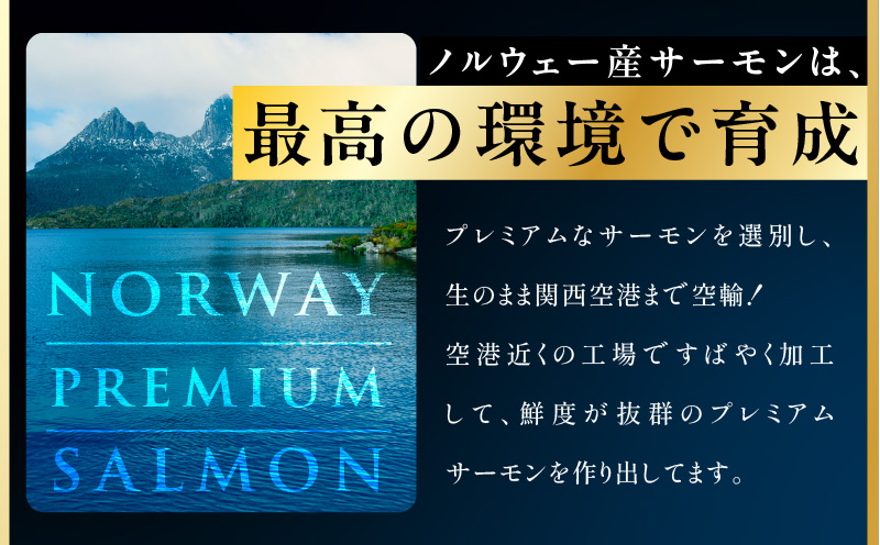 【定期便】ノルウェー産 プレミアム アトランティックサーモン 1kg 【2～5柵 訳あり サイズ不揃い 刺身 海鮮丼 サラダ 冷凍 2026年2月＆5月発送 全2回】 kgpZ005