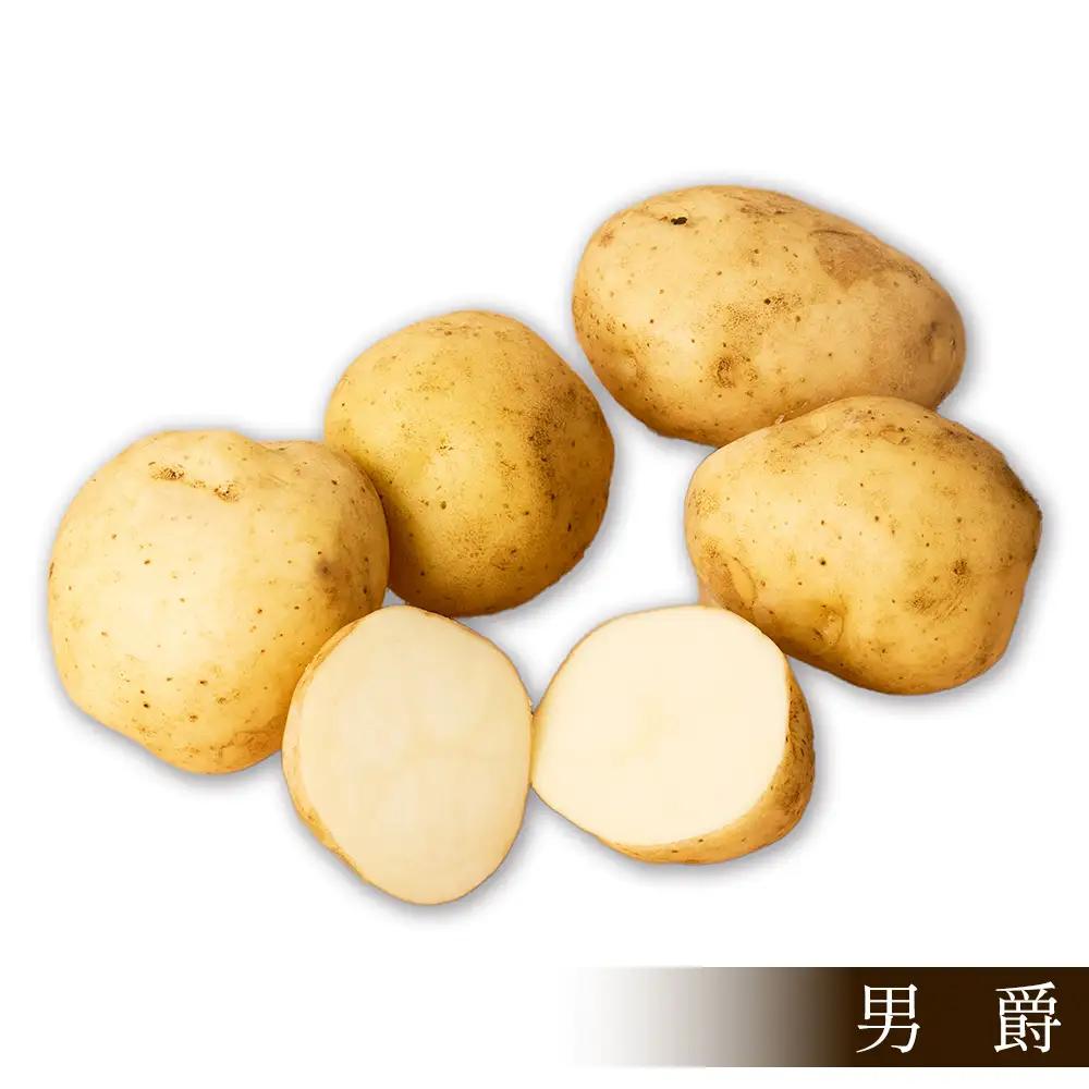 2026年産 北海道産 新じゃが じゃがいも 男爵 5kg 北海道 上士幌町 須田農場 野菜 ジャガイモ 馬鈴薯 産地直送 ◆2026年9月中旬発送開始予定