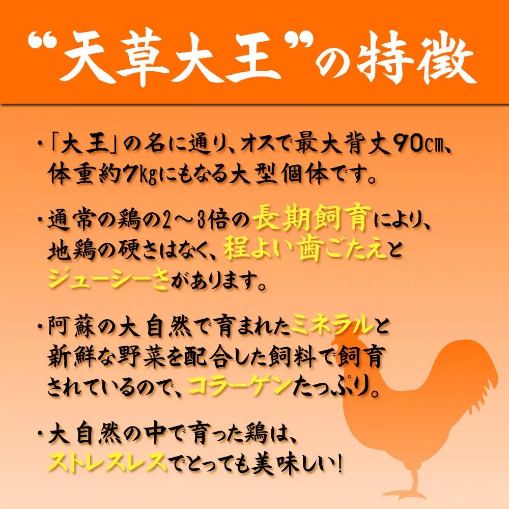 希少！くまもと地鶏　天草大王　一羽まるごとセット