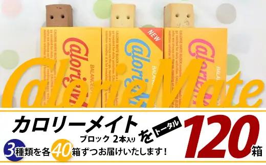 カロリーメイト ブロック 2本入り 3種類 各40箱 計120箱 【大塚製薬 チョコ バニラ メープル 5大栄養素 徳島県 那賀町 非常食 常備食 災害 新生活 備蓄 長期保存 栄養食】MS-8-2