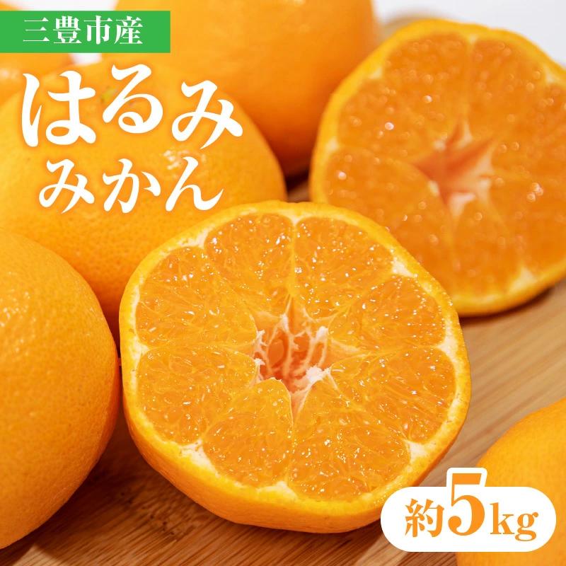 M02-0088_三豊市産はるみみかん 約5kg