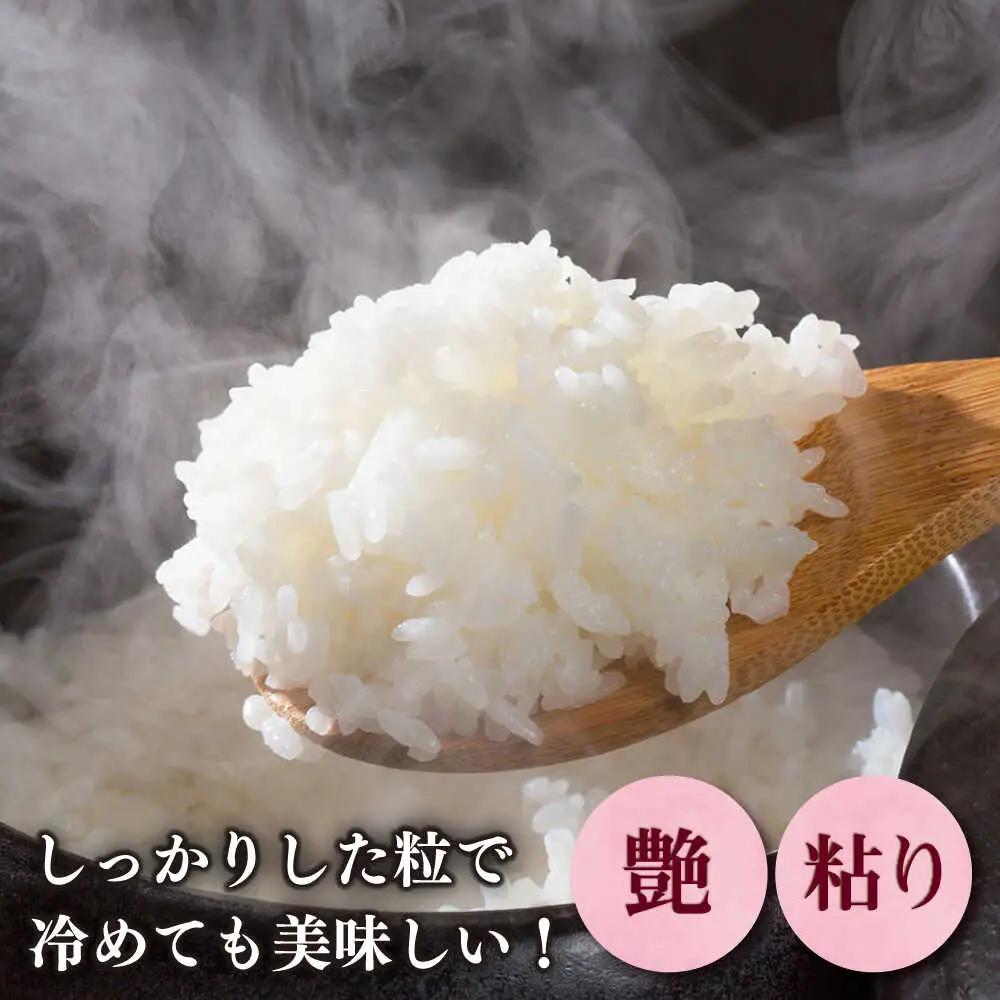 【令和7年産】果物屋さんが選んだ米 元気つくし 5kg 米 白米 お米 ブランド米[ABET010]