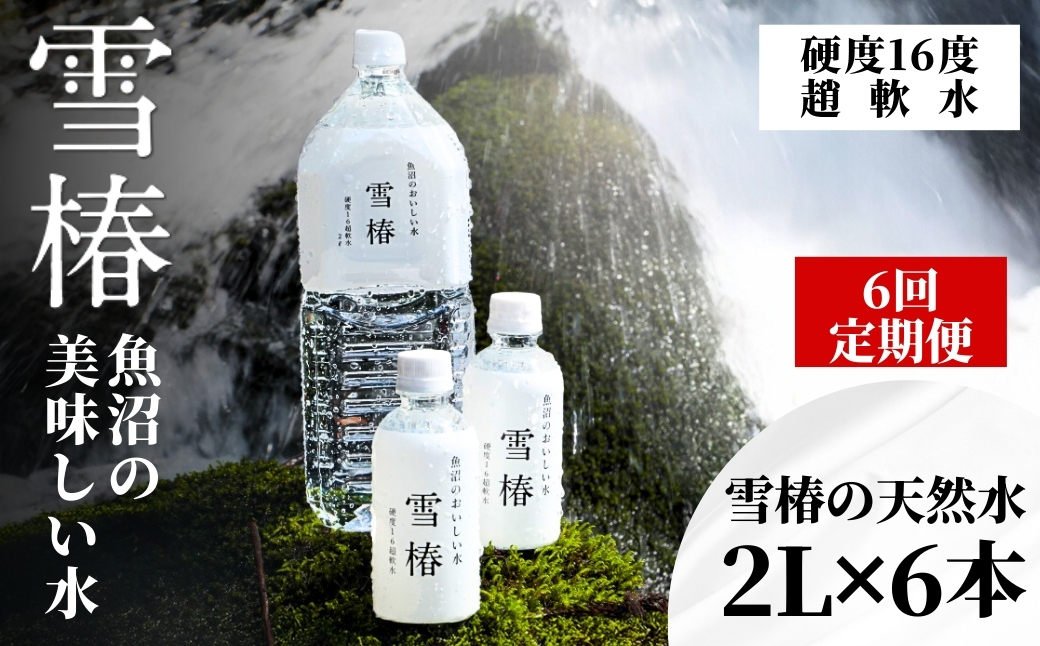 【定期便】雪椿の天然水 2L×6本×全6回