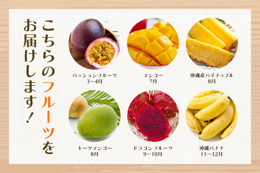 【定期便全6回】沖縄 フルーツ 定期便 6回 パッションフルーツ 沖縄産パイナップル パイン マンゴー キーツマンゴー ドラゴンフルーツ バナナ フルーツ定期便 旬 フルーツ 果物 くだもの 沖縄マン