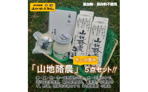 ～大自然で生まれ育った牛さんの恵～ 田野畑山地酪農乳製品詰合せ4品5点セット!_乳製品 チーズ 牛乳 ヨーグルト 詰め合わせ 酪農 岩手県 田野畑村 美味しい 人気 おすすめ 送料無料 ギフト【1344814】