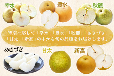 大高フルーツの旬の梨(幸水/豊水/秋麗/あきづき/甘太/新高)★約3kg(5-12玉前後) 予約受付中 フルーツ 秋 旬★熊本県玉名郡玉東町 《7月下旬-10月中旬頃出荷》｜ブランド梨 人気梨 特産品