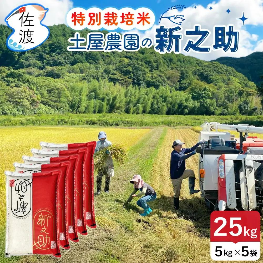 白米 25kg 土屋農園 令和7年 新之助 | 新潟県 佐渡市 白米