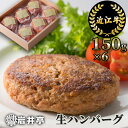 【ふるさと納税】近江牛 生ハンバーグ 150g×6個 国産 ハンバーグ ブランド牛 日本三大和牛 キャンプ アウトドア 冷凍 返礼品 寄付 ギフト プレゼント お祝い 贈り物 故郷納税 東近江 岩井亭 A-D14