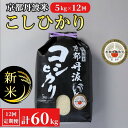 【ふるさと納税】【定期便】令和6年産 訳あり 京都丹波米こしひかり 新米 5kg×12回 計60kg◆12ヶ月 12か月 白米 ※精米したてをお届け ｜契約栽培米 緊急支援 米 コシヒカリ 京都丹波産 ※北海道・沖縄・離島への配送不可