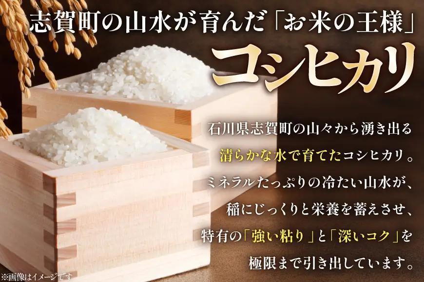 米 コシヒカリ 令和7年産 5kg