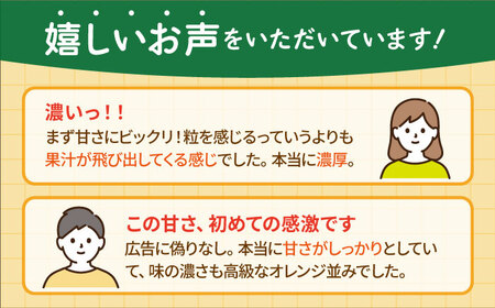 【2月〜3月発送】【幻のみかん】タッチの甘熟「今村温州みかん」5kg【夢の完熟みかん タッチ】フルーツ 果物 佐賀 みかん 温州 みかん みかん 今村温州 みかん フルーツ みかん 果物 みかん みか