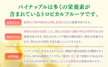 2024年 先行予約 ピーチパイン 約5kg ちゅら西表島産!! ゆたか農園 完熟 パイン 果物 フルーツ パイナップル