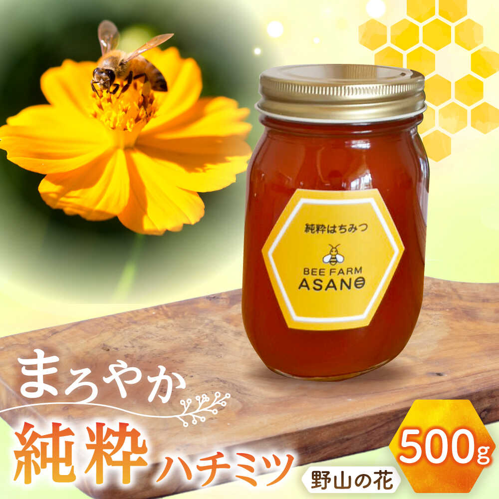 【ふるさと納税】純粋ハチミツ 野山の花 500g×1 瑞浪市 / honey shop Bee farm asano 蜂蜜 はちみつ[AZBT005]