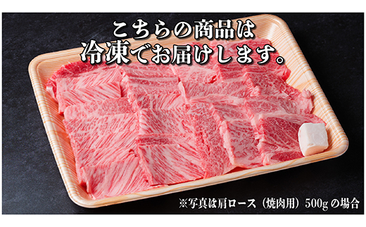 レビューキャンペーン実施中!飛騨牛　厳選肩ロース(焼肉・BBQ用)1kg　A4〜A5等級　小分け【配送不可地域：離島】【1487296】