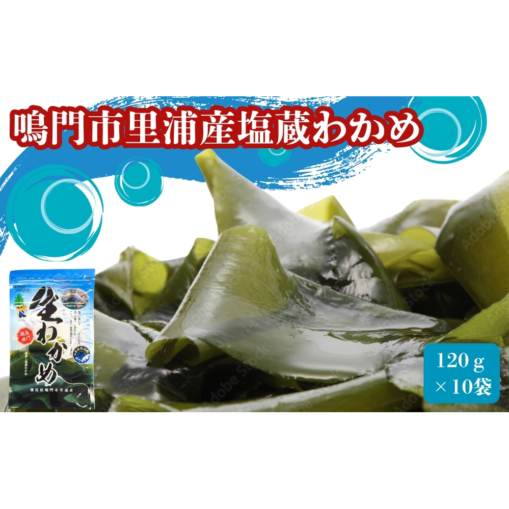 鳴門市里浦産塩蔵わかめ 120ｇ×10袋　鳴門わかめ　小袋　冷蔵　酢の物　味噌汁　サラダ　カット　敬老の日　ワカメ　