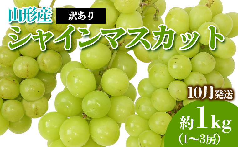 
            [訳あり]やまがたのぶどう シャインマスカット 10月 優品 約1kg(1～3房程度) 【令和7年産先行予約】FS23-819 くだもの 果物 フルーツ 山形 山形県 山形市 2025年産
          