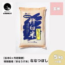 【ふるさと納税】【玄米6ヶ月定期便】特別栽培「きなうす米」ななつぼし5kg×6回