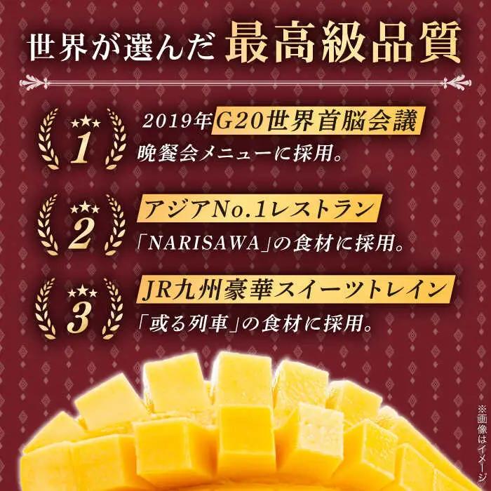 【冷凍】プリンセスマンゴー 約3kg[QAT014] マンゴー