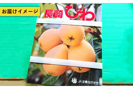 【期間限定】五島のびわ（長崎早生）500g 秀品 化粧箱入 五島市/ごとう農業協同組合 [PEM001]