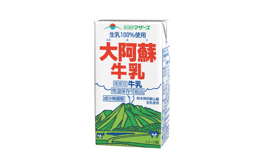 
【12ヶ月定期便】 生乳 100％ 大阿蘇牛乳 ロングライフ 牛乳 250ml×24本入り 合計6L
