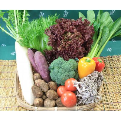 ふるさと納税 芝山町 「大地の恵みセット」9〜10種 +コシヒカリ2kg【令和7年産】+古代米バウムクーヘン |  | 02