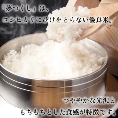 ふるさと納税 春日市 新米!!令和7年産 福岡県産米 夢つくし 合計10kg(5kg×2袋)(春日市) |  | 03