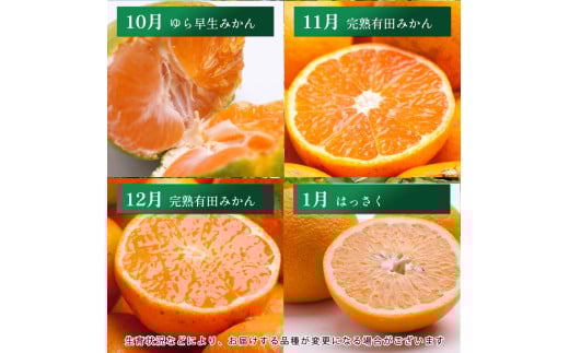 【4～6月】柑橘 定期便 S【全3回】【和歌山】 / 定期便  はっさく せとか 不知火 清見オレンジ カラマンダリン みかんゼリー ハウスみかん ゆら早生 有田みかん ※北海道・沖縄・離島への配送不