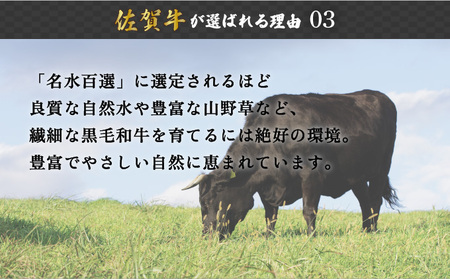 ＜定期便6回＞佐賀牛色々食べ比べ