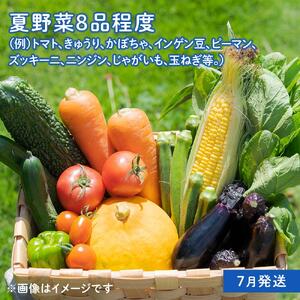 「ベジーズ館」の夏・冬野菜　年２回コース （7月と12月発送）｜【野菜定期便・野菜・定期便・冬野菜・夏野菜・野菜セット・旬の野菜・兵庫野菜・相生野菜・国産野菜・野菜詰め合わせ・冬野菜詰め合わせ・夏野菜