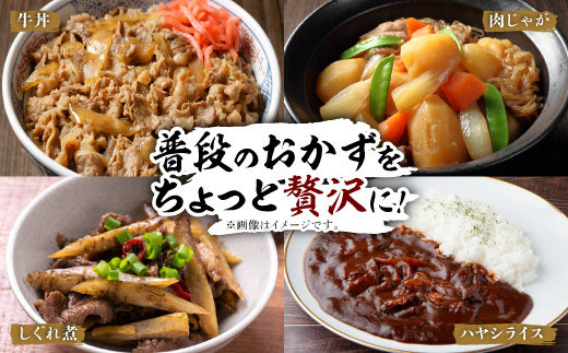 【毎月定期便】【訳あり】飛騨牛5等級　切り落とし用途いろいろ　500g全3回【配送不可地域：離島】