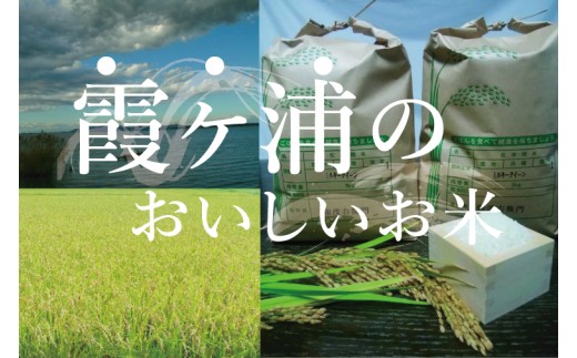 「茨城県産 茨城県産米」「霞ヶ浦のおいしいお米」令和7年産ミルキークイーン10kg【米 ごはん 霞ヶ浦 茨城県 阿見町】（13-01-2）