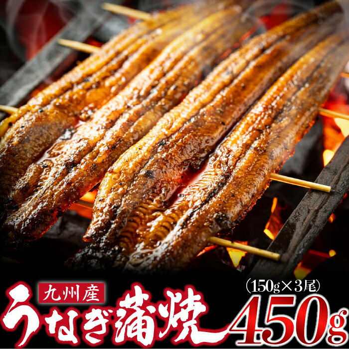 【ふるさと納税】＜いろは＞うなぎ蒲焼 国産 150g × 3尾 (有頭)　[M686] ウナギ 鰻 炭火焼き ふっくら 肉厚 うな重 ランキング 土用の丑の日 鹿児島県 人気 オススメ 宮若市