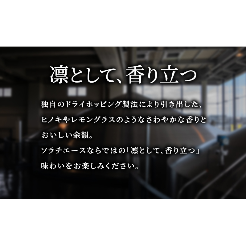 【3ヵ月連続定期便】北海道 上富良野町発祥 伝説のホップ SORACHI 1984 350ml×12缶 ソラチエース使用 サッポロ ビール クラフトビール 酒 アルコール 日用品 お酒_イメージ2