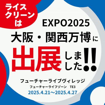 ふるさと納税 伊予市 お米歯ブラシ　ライスクリーンふつう　6本(3色×2本)　山陽物産　大阪万博展示品　B439 |  | 01