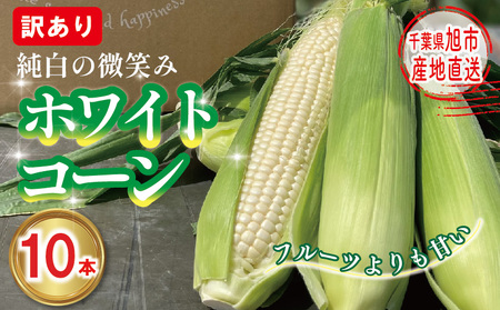  2025年7月下旬発送 訳あり 白とうもろこし 10本 とうもろこし とうもろこし とうもろこし とうもろこし とうもろこし とうもろこし