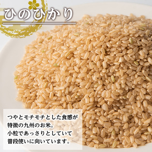 i504 鹿児島県出水市産ひのひかり玄米＜3kg×2袋・計6kg＞自家脱穀で風味を強く感じるお米！米 玄米 お米 6kg 国産 ひのひかり おにぎり ごはん 自家脱穀 お米マイスター 厳選  【田上商
