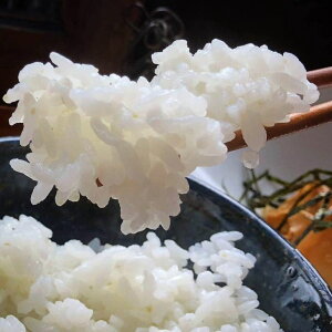 【令和7年産】新米 先行予約 10kg 京都・神前米 キヌヒカリ ☆精米したてをお届け ※2025年9月下旬以降順次発送 ≪減農薬 自家栽培米 生産農家 直送 白米 米 精米 クリーン白米≫