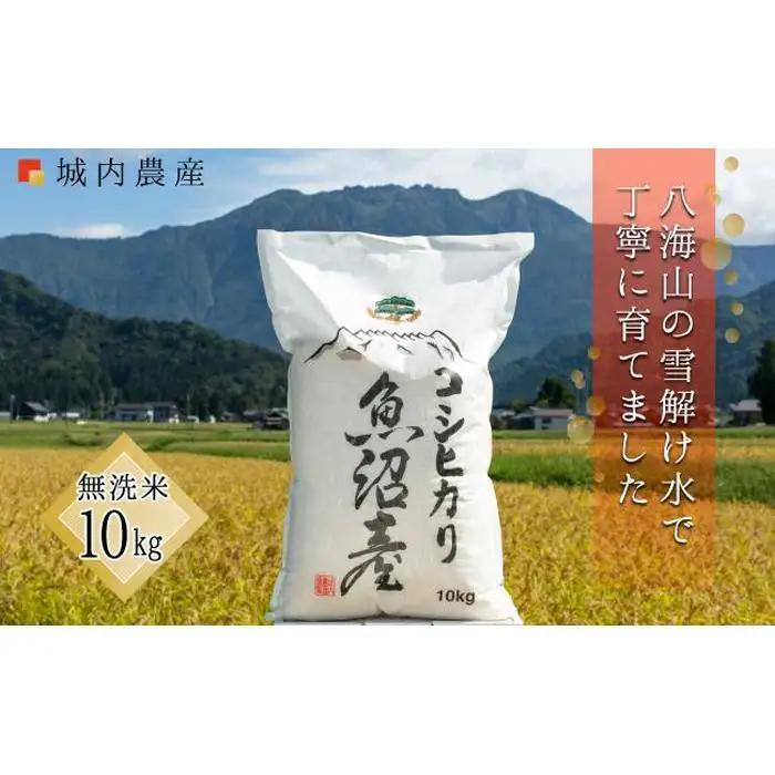 【令和８年新米予約】南魚沼産コシヒカリ 無洗米１０ｋｇ【５割減農薬栽培米】城内農産｜こしひかり【2026年9月下旬から1ヶ月以内に順次発送予定】