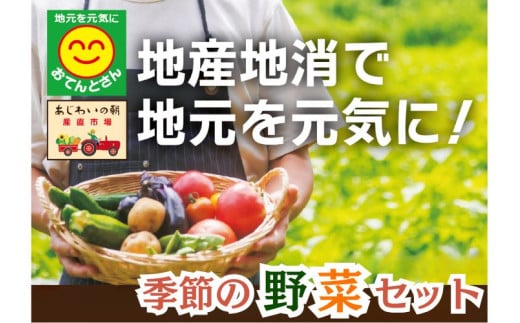 旬の野菜詰合せセット(3)12品～17品 / 野菜 やさい セット 詰め合わせ 旬 新鮮 産地直送 朝採れ