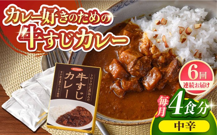 
            【全6回定期便】【とろっとろになるまで煮込んだ】牛すじカレー 4食セット（中辛） 平戸市 / カレー工房 NVfoods [KAB265]カレー レトルト スパイス ご当地カレー 通販 お取り寄せ グルメ 簡単調理 保存食
          