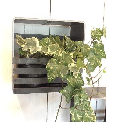 ふるさと納税 和泉市 COBA(85)アイアン花器(ロビン200角) |  | 01