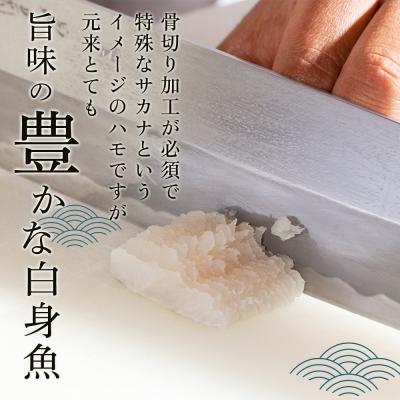 ふるさと納税 徳島市 天然鱧 鱧鍋セット(3〜4人前)【AQ007】 |  | 02