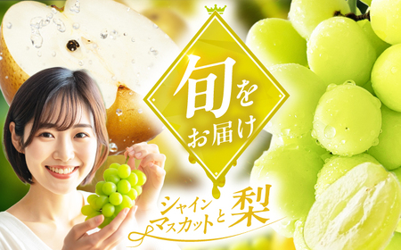 【★先行予約★ 8月下旬発送】フルーツ詰合せ（シャインマスカット3パック＆梨3個） / フルーツギフト[AFAB088]