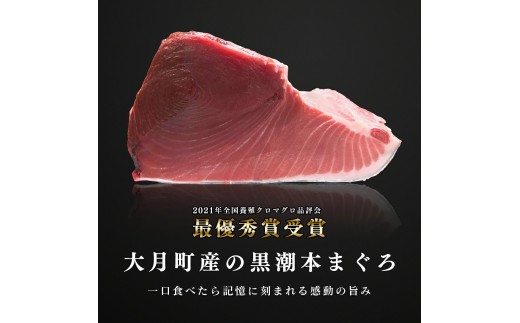 訳あり 不定貫 定期便 4回 国産 養殖本マグロ 大トロ 毎回300g×4回 黒潮本まぐろ 全国養殖クロマグロ品評会 最優秀賞受賞 4ヶ月 4か月 柵 刺身用 本マグロ クロマグロ 本鮪 まぐろ 鮪 