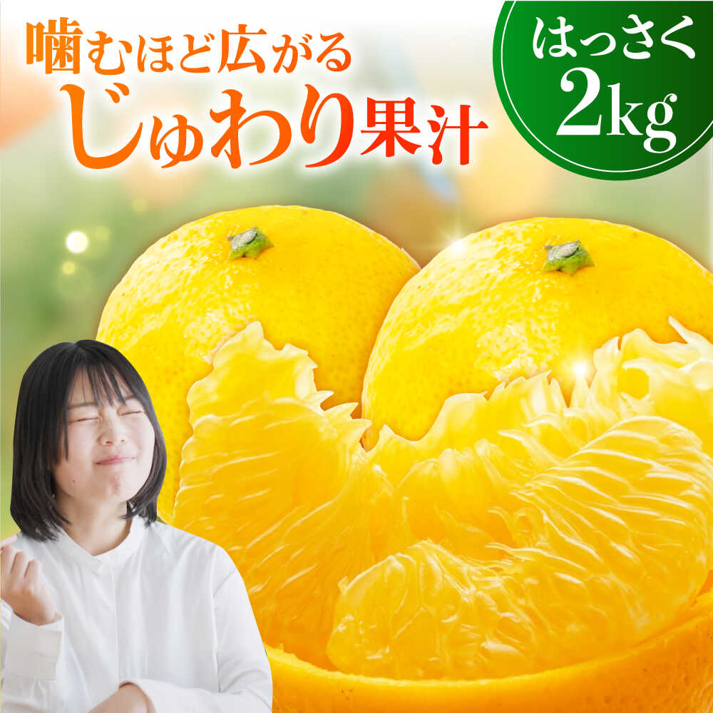【ふるさと納税】八朔 2kg 小玉 江田島市産 ハッサク はっさく 広島 みかん ミカン 柑橘 柑橘類 果物 くだもの フルーツ オレンジ 蜜柑 柑橘 先行予約 ジュース 果実 甘味 酸味 家庭用 濃厚 デザート 旬 国産 江田島市/ハルテラス農園[XCX001]