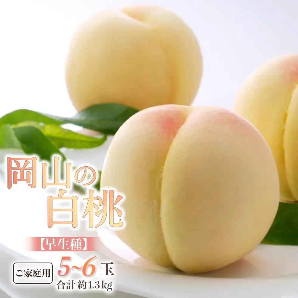 2027年 先行予約 ご家庭用 白桃 早生種 5～6玉 合計約1.3kg 岡山県産 白桃 ギフト