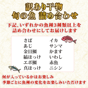訳あり 旬 干物 詰め合わせ 3kg 干物