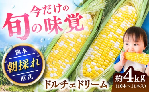 【先行予約】【2027年5月下旬より順次発送】スイートコーン(ドルチェドリーム)約4kg / トウモロコシ 甘い スイートコーン とうもろこし 高糖度 ドルチェドリーム 菊陽とうもろこし 熊本とうもろこし 朝採り 朝採り 糖度 焼きとうもろこし 採れたて野菜 旬の野菜【なかむら農園】 [BHCJ002]