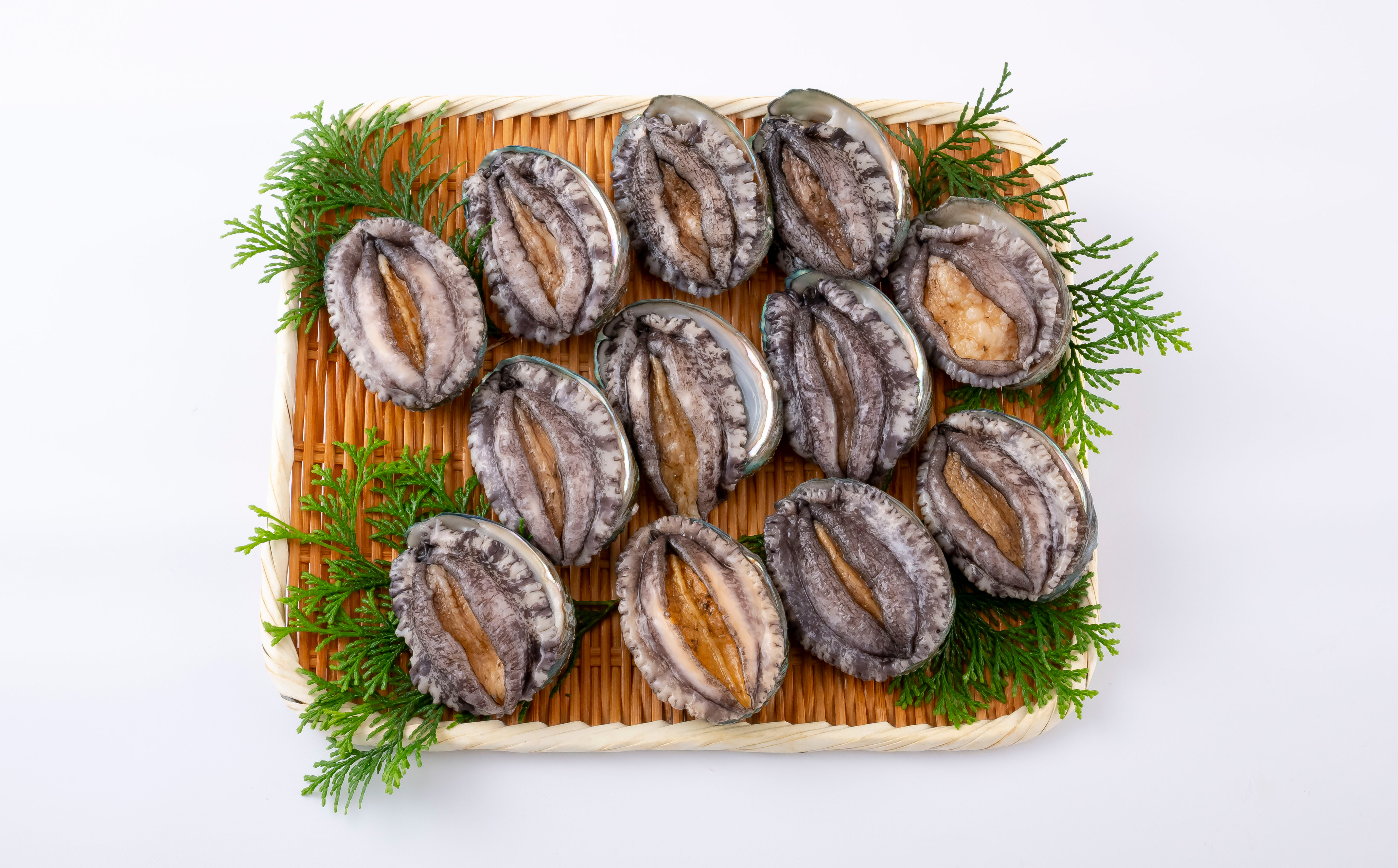 九十九島活あわび(900g)養殖