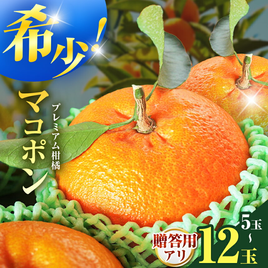 【ふるさと納税】【数量限定】 紅モンスター マコポン 選べる 内容量 5～12玉 贈答用あり | フルーツ 果物 くだもの 果実 柑橘 まこぽん マコポン オレンジ ゼリーオレンジ 不知火 国産 中津市産 産地直送 大分県 中津市【発送は2025年12月10日～2026年1月31日頃の予定】
